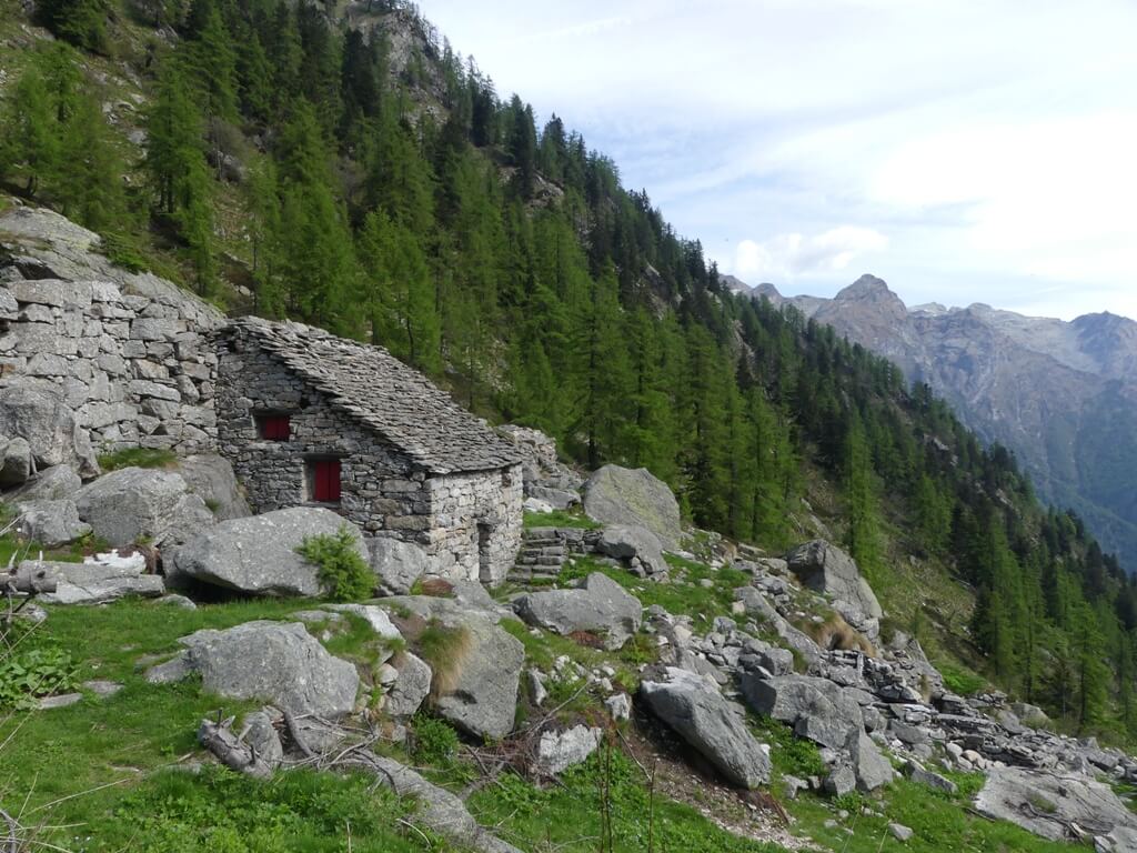 Alpe Corte di Sopra 1713 m