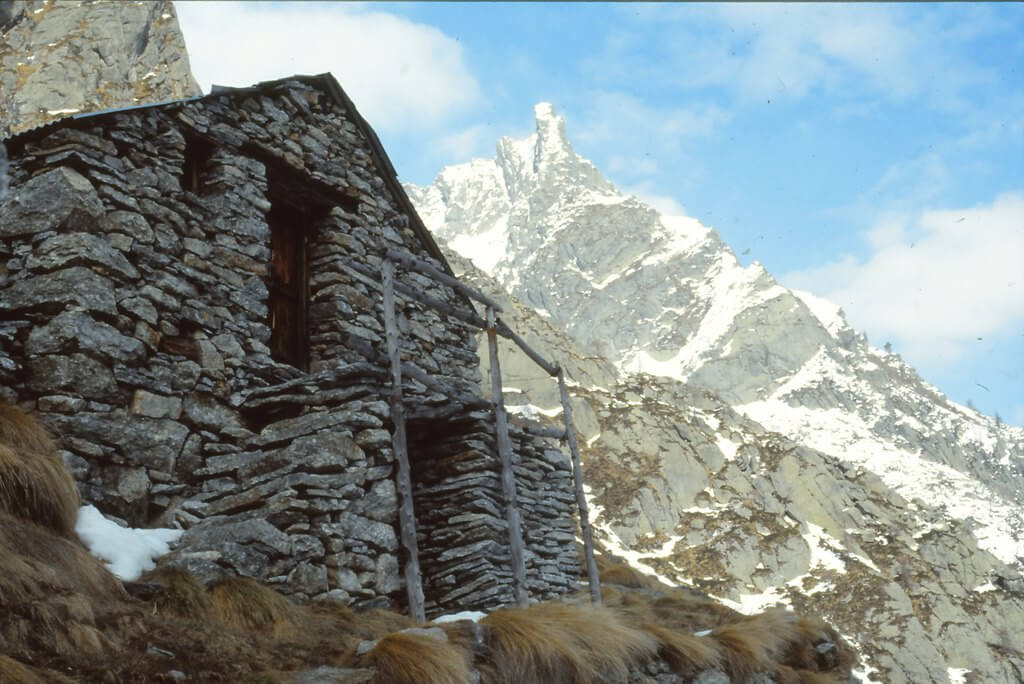 Alpe Predenon Anno 1988