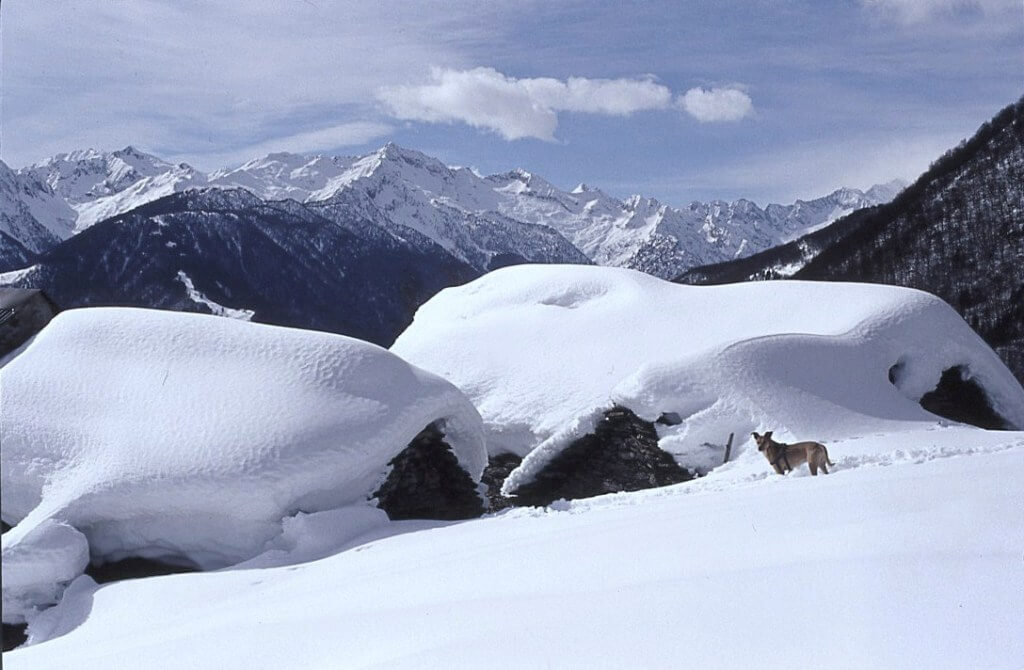 Prer Inverno 2008-2009