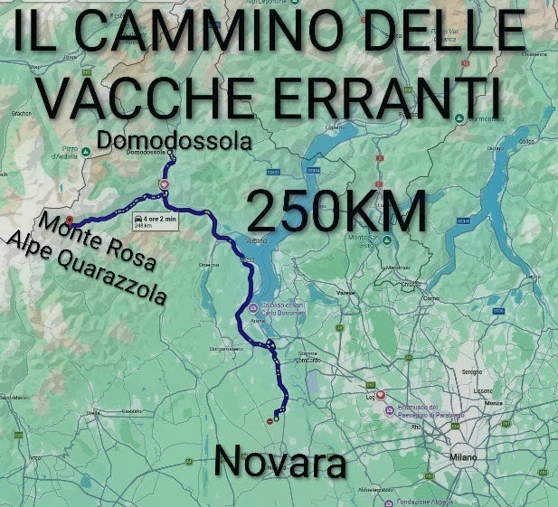Le Vacche Erranti a Bruxelles
