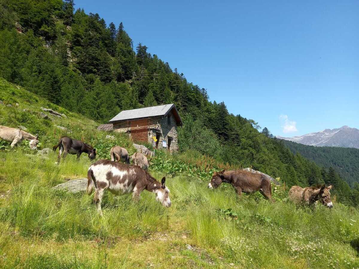 Gruppo Escursionisti Val Baranca