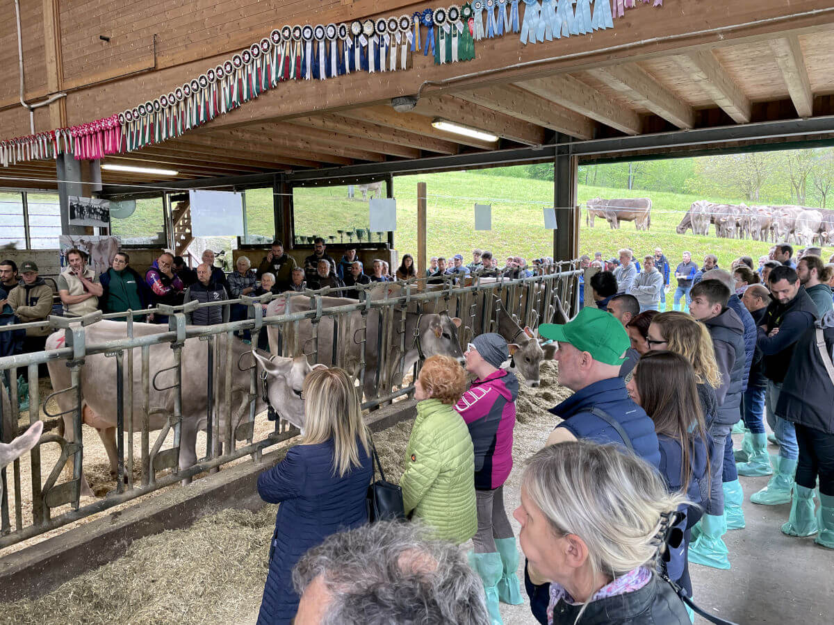 Giornata della Bruna - Azienda Agricola Giannoni