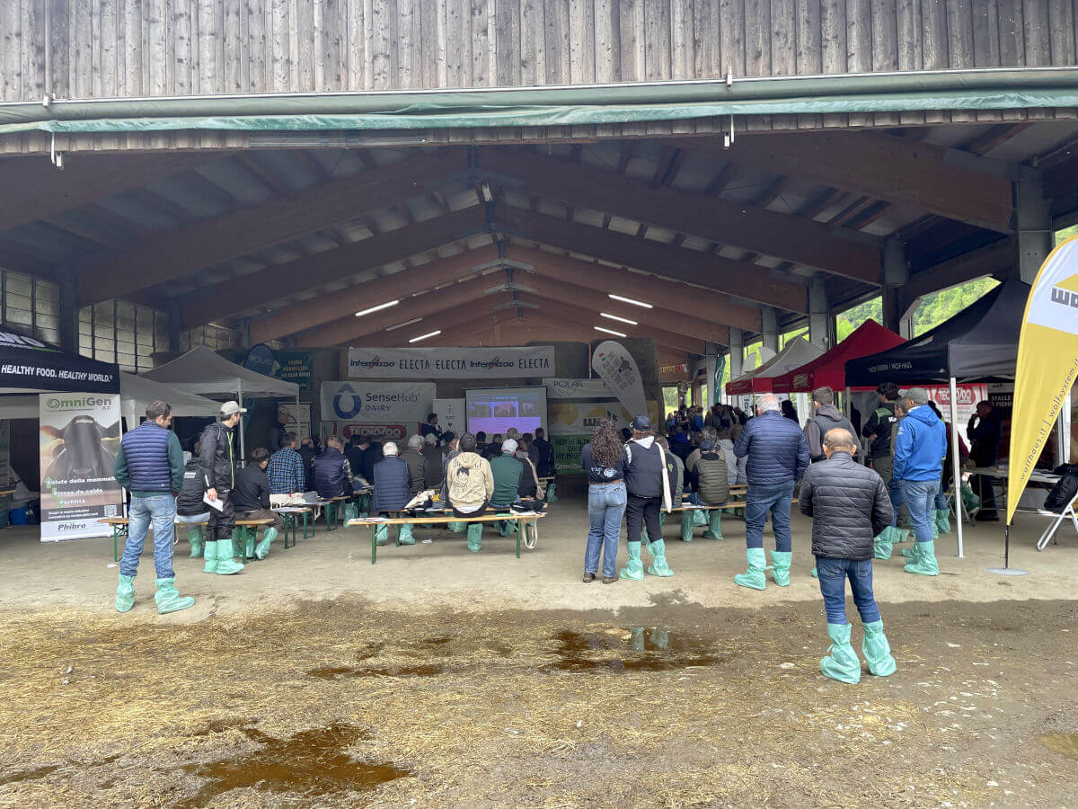 Giornata della Bruna - Azienda Agricola Giannoni