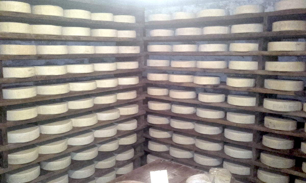 Forme di Formaggio