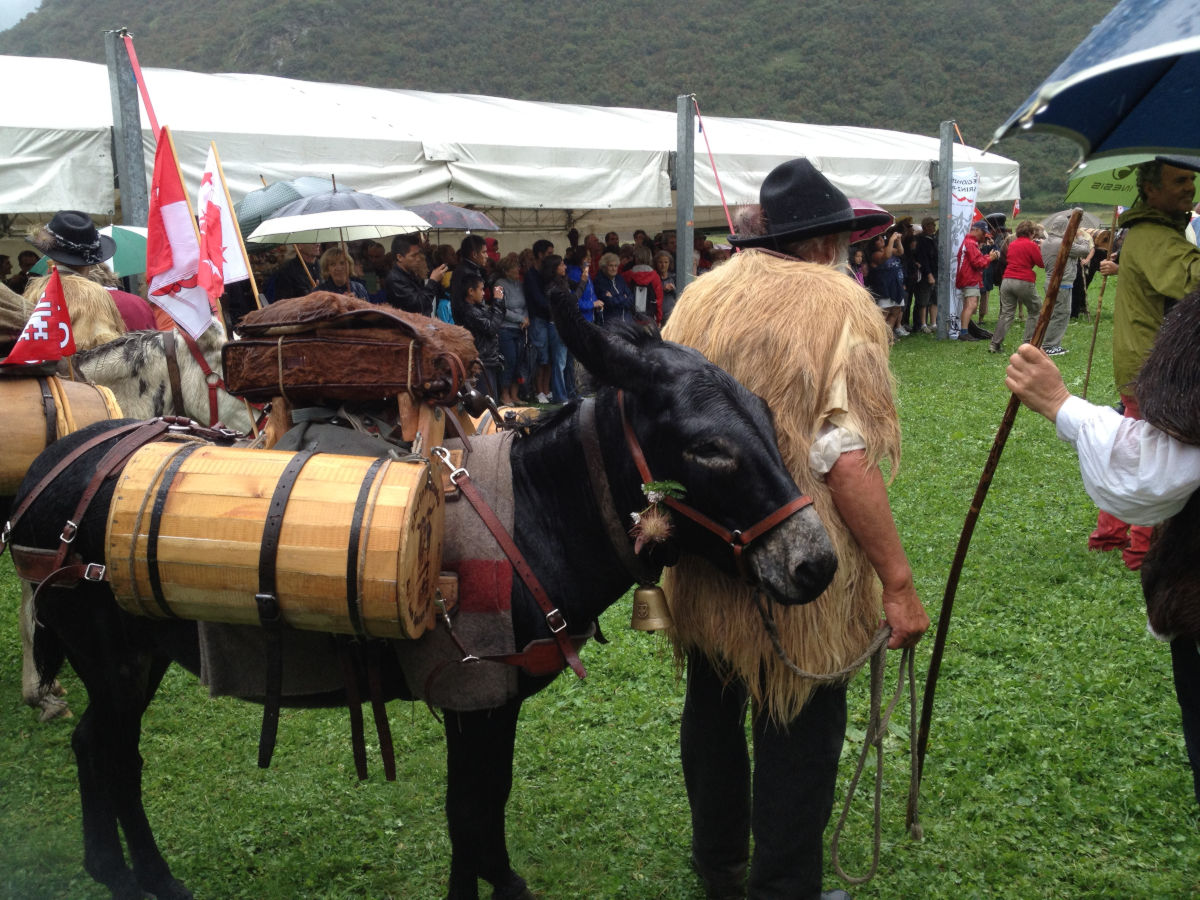 Il gruppo a nella Piana di Riale