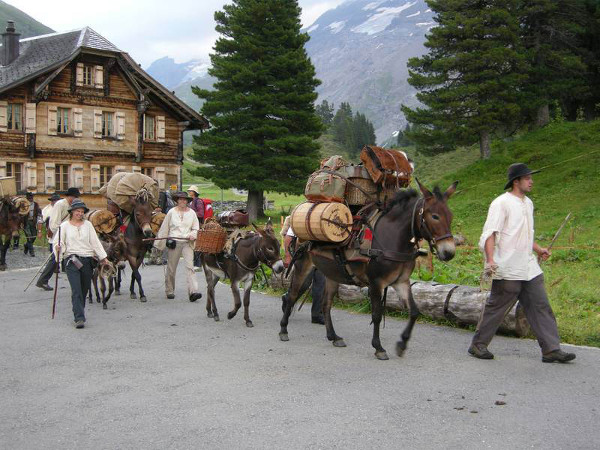 SbrinzRoute2018