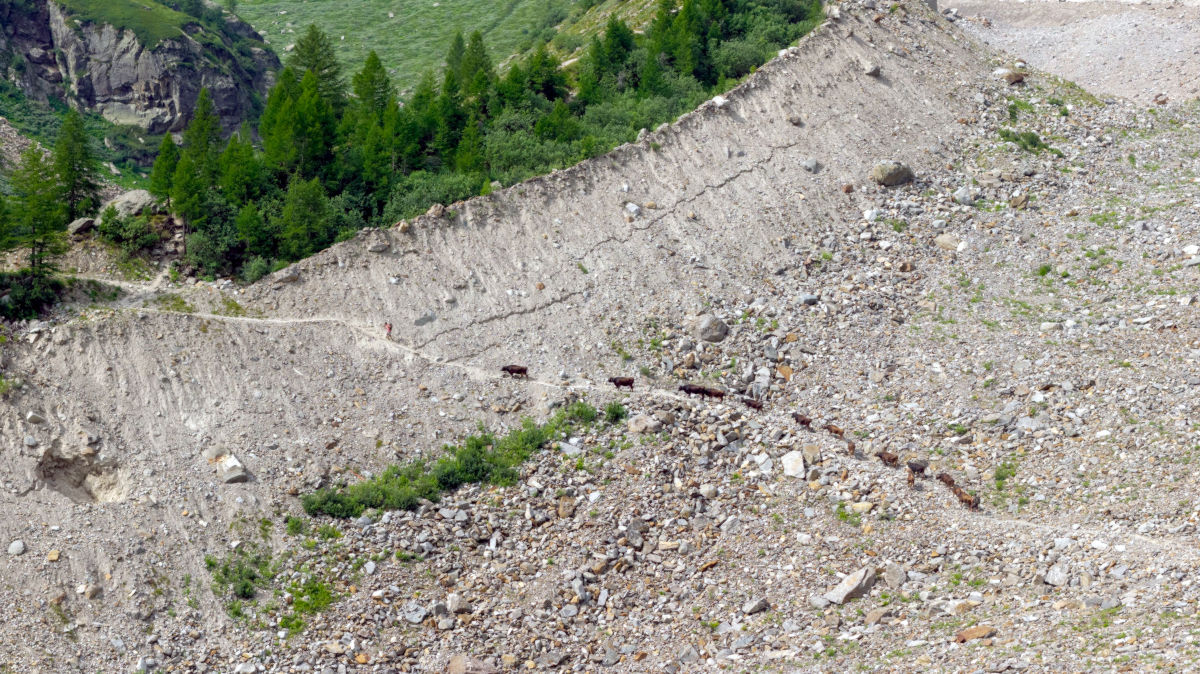 Passaggio In Morena