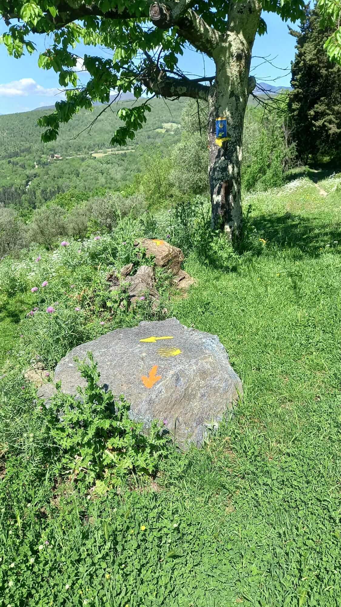 Sul cammino