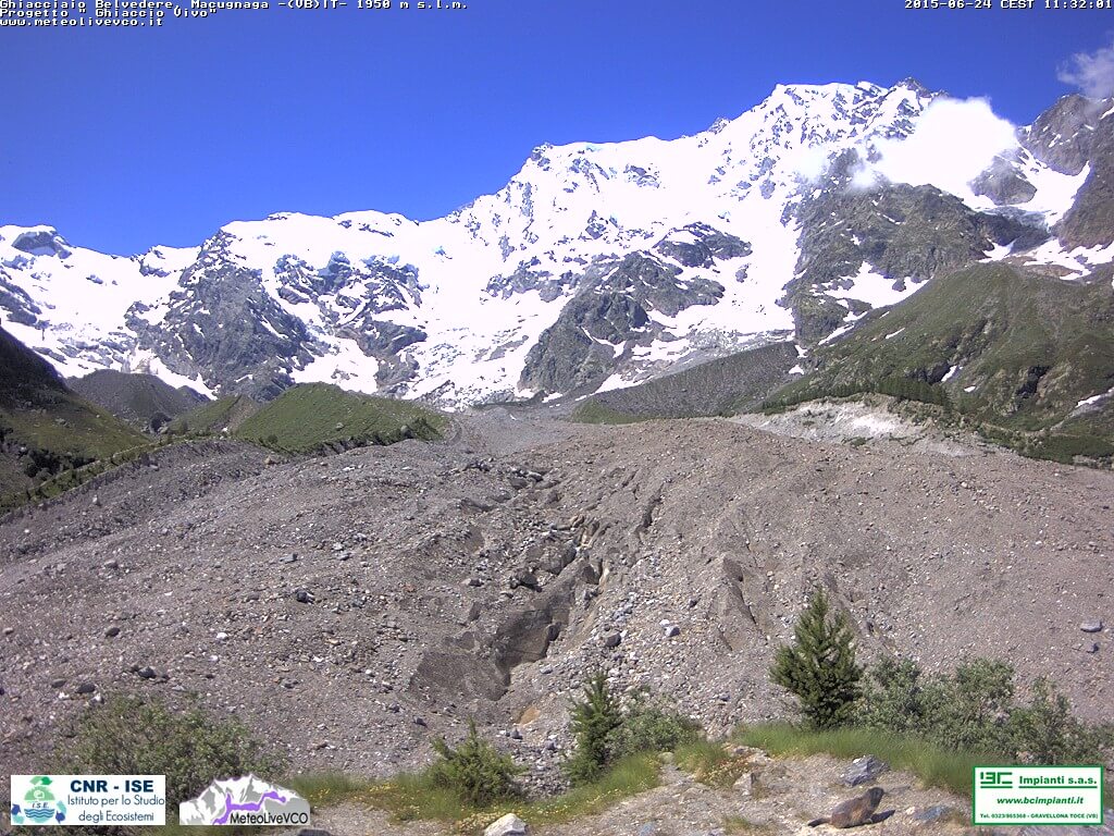 Marmotta
