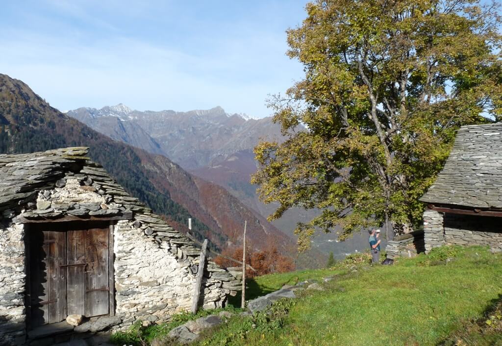 Alpe Camino