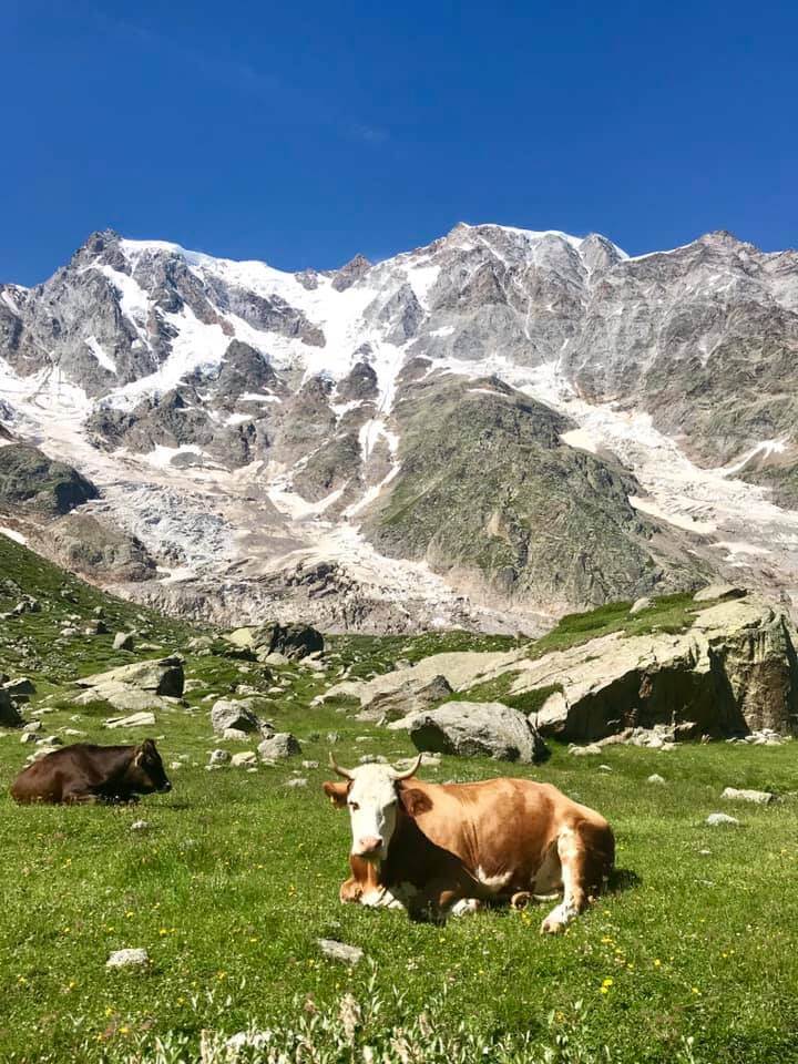 Alpe Pedriola Apertura Della Prima Forma Del Pariola