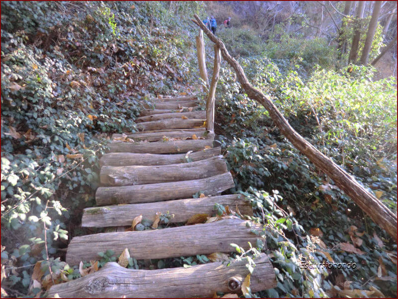 Ponticelli In Legno