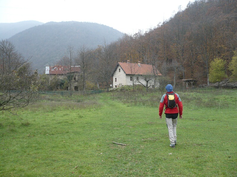 Prato Verso Vereira