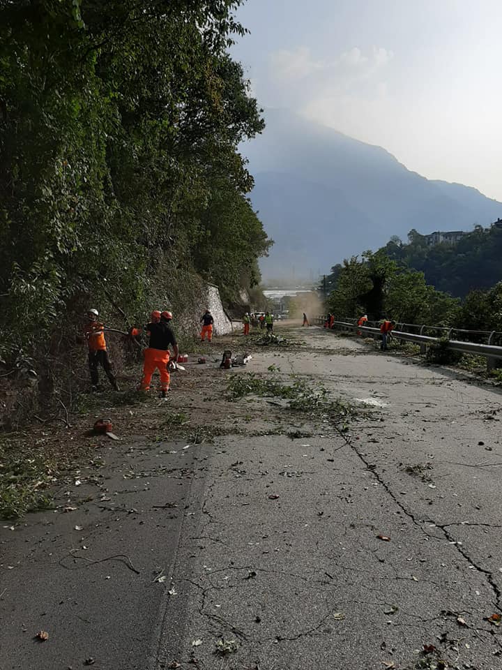 Giornata Ecologica Sulla Provinciale 66 A Piedimulera