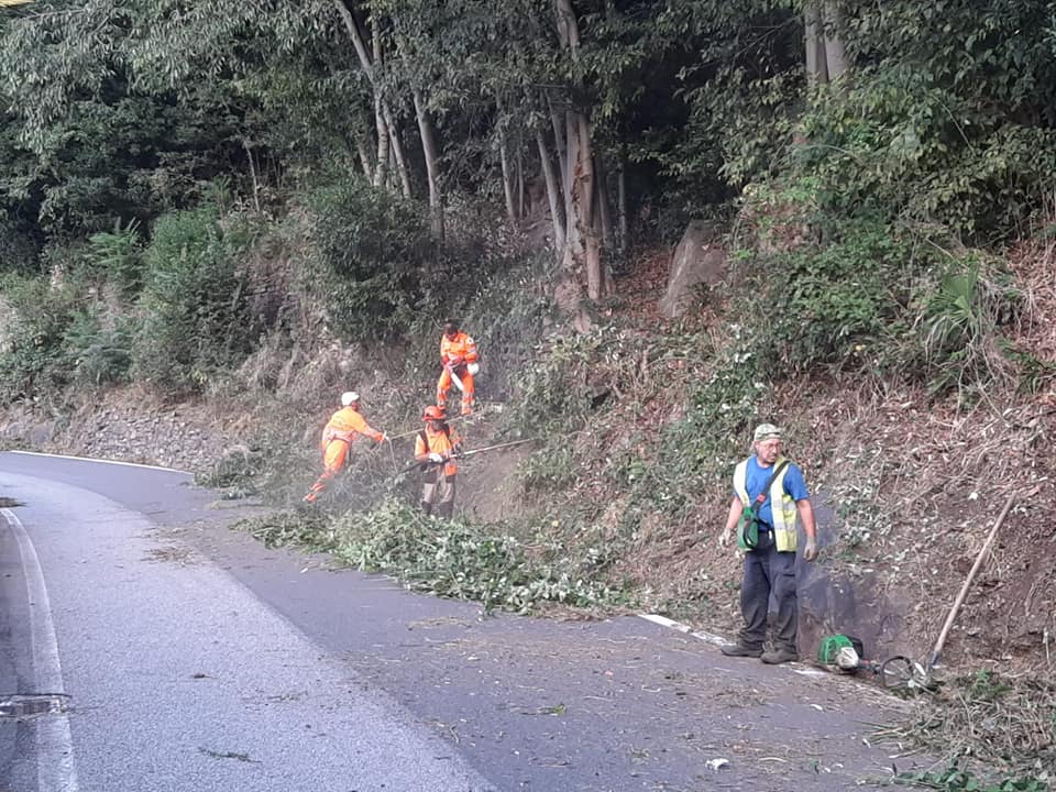 Giornata Ecologica Sulla Provinciale 66 A Piedimulera