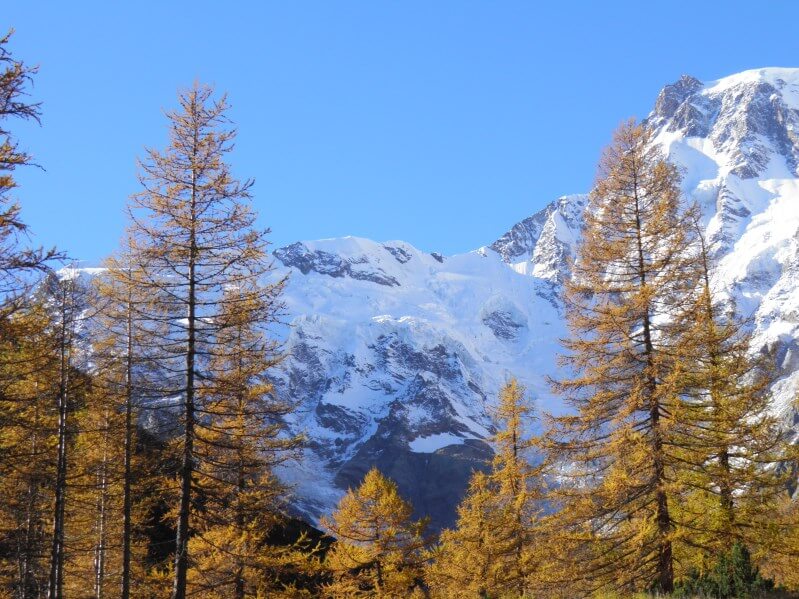 seggiovia pecetto burki belvedere per ammirare il foliage d alta quota 2