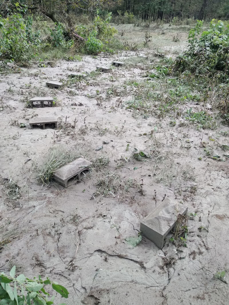 L' alluvione colpisce pesantemente l'apicoltura dell'Ossola