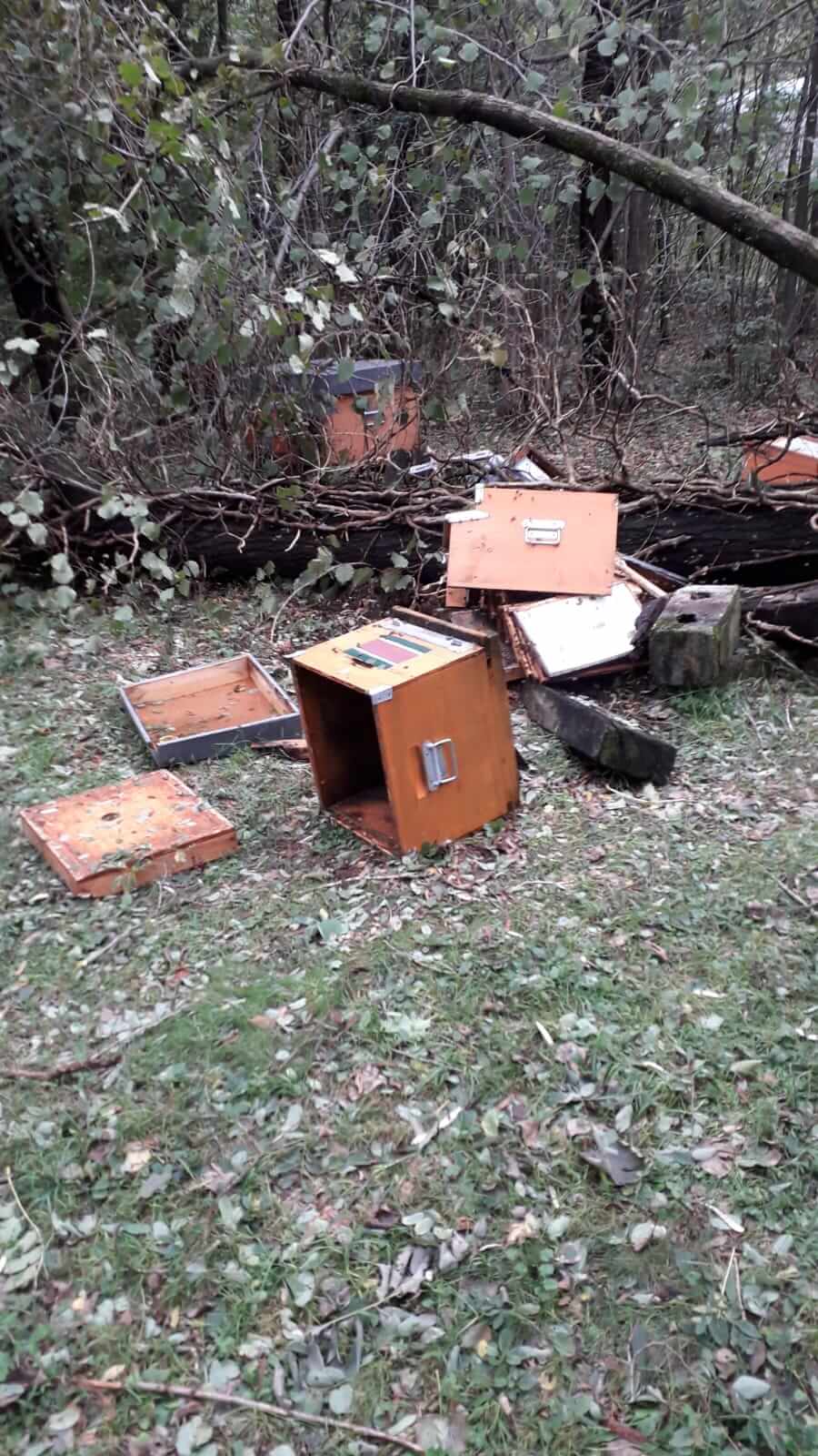 L' alluvione colpisce pesantemente l'apicoltura dell'Ossola