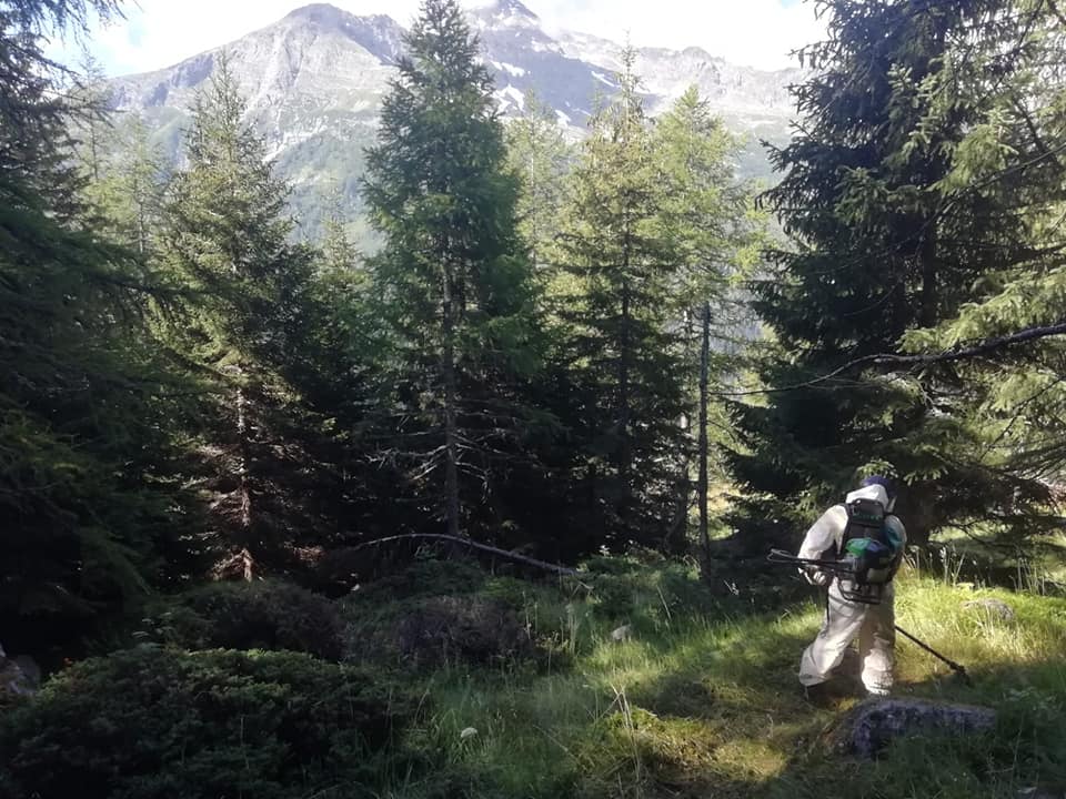 Inaugurazione Il 24 Agosto Del Sentiero Per L Alpe Fluh