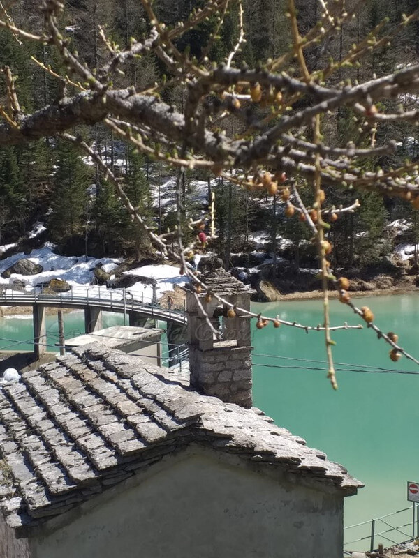 Le Montagne Sanno Aspettare 8