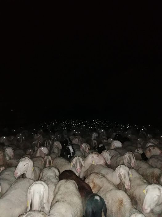 Pastori Anzaschini Duramente Colpiti Dall Alluvione 2