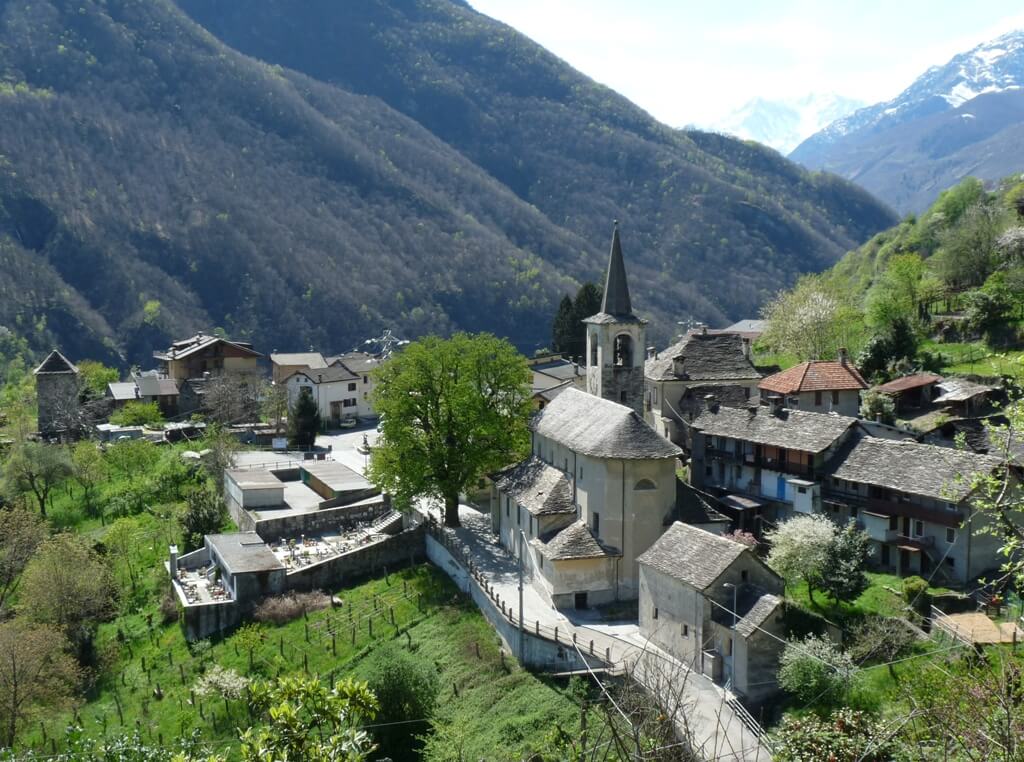 Cimamulera
