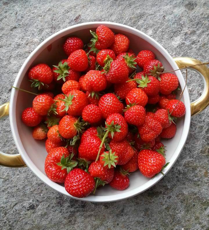 Fragole cestino