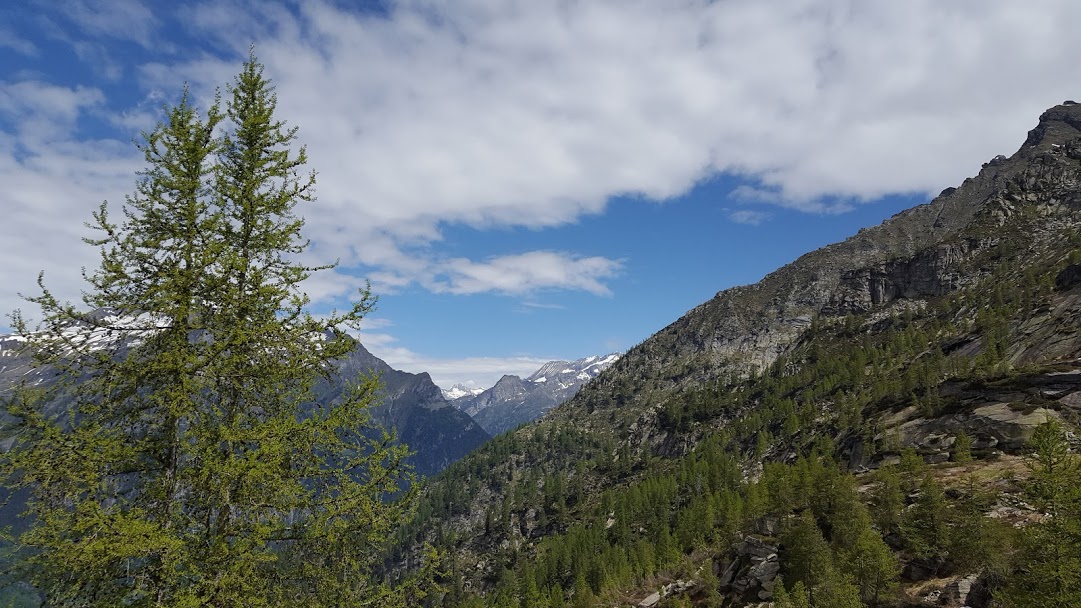 Alpe Groppo