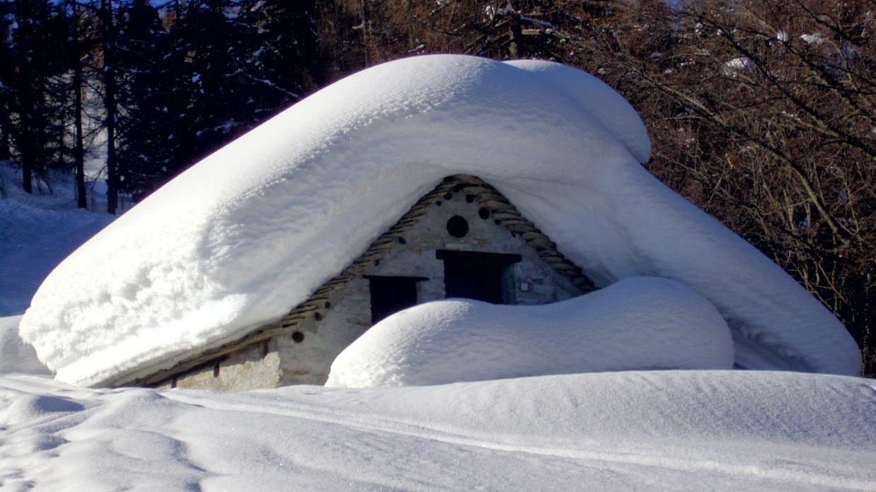 Cispole Valle Del Rosa Pizzetto 3