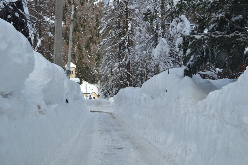 Caro Babbo Natale Voglio L Inverno 1