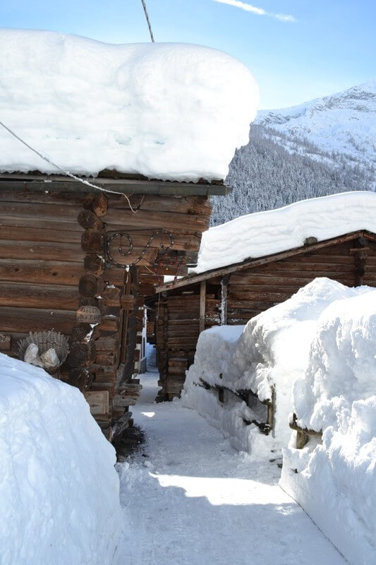 Caro Babbo Natale Voglio L Inverno 5
