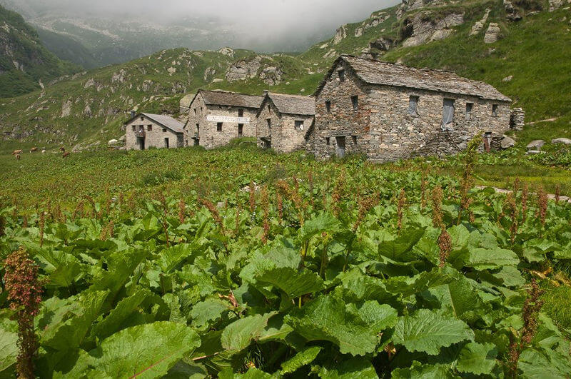 L Ass Sentieri Ossolani Lavorera Sul Territorio Di Bannio
