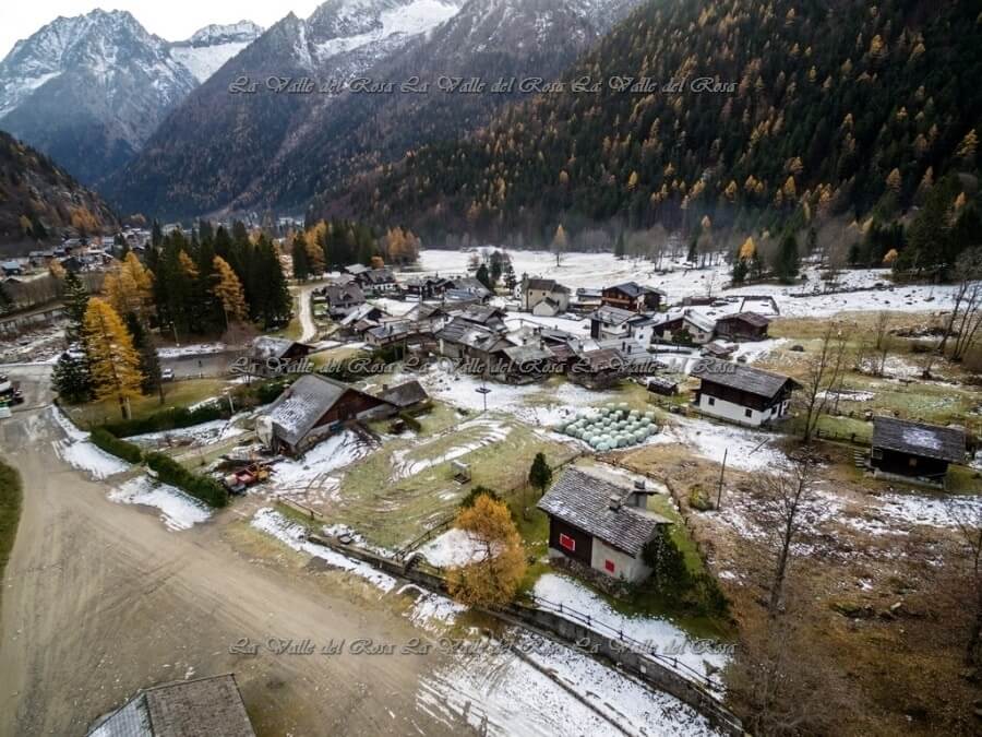 Isella