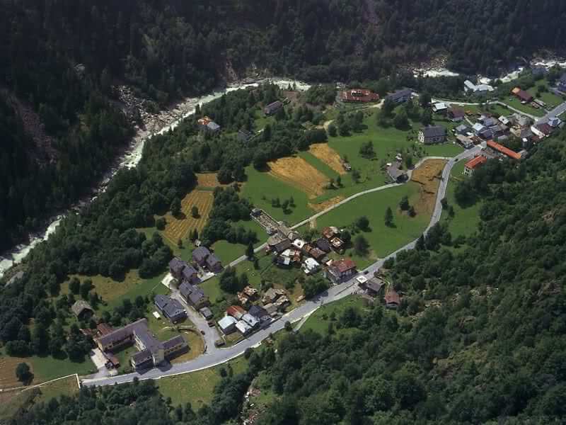 Pestarena