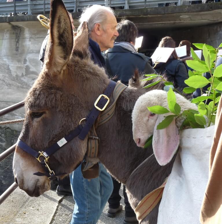 Calasca Ottima Riuscita Per La Festa Di Sant Antonio Abate