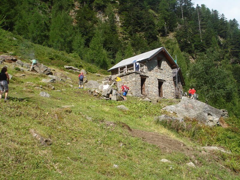 Drocaccia
