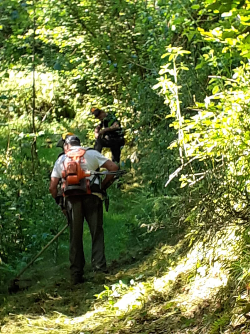 Escursionisti Val Baranca Mulattiera Pontegrande Alpe Soi