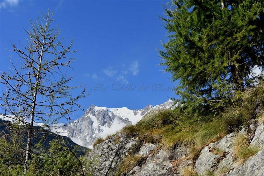 Inaugurato Il Sentiero Alpe Fluh Alpe Bill Foto Welter Ferrari