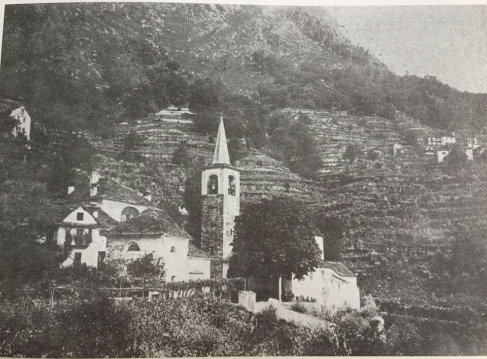 Ippocastano Di Cimamulera