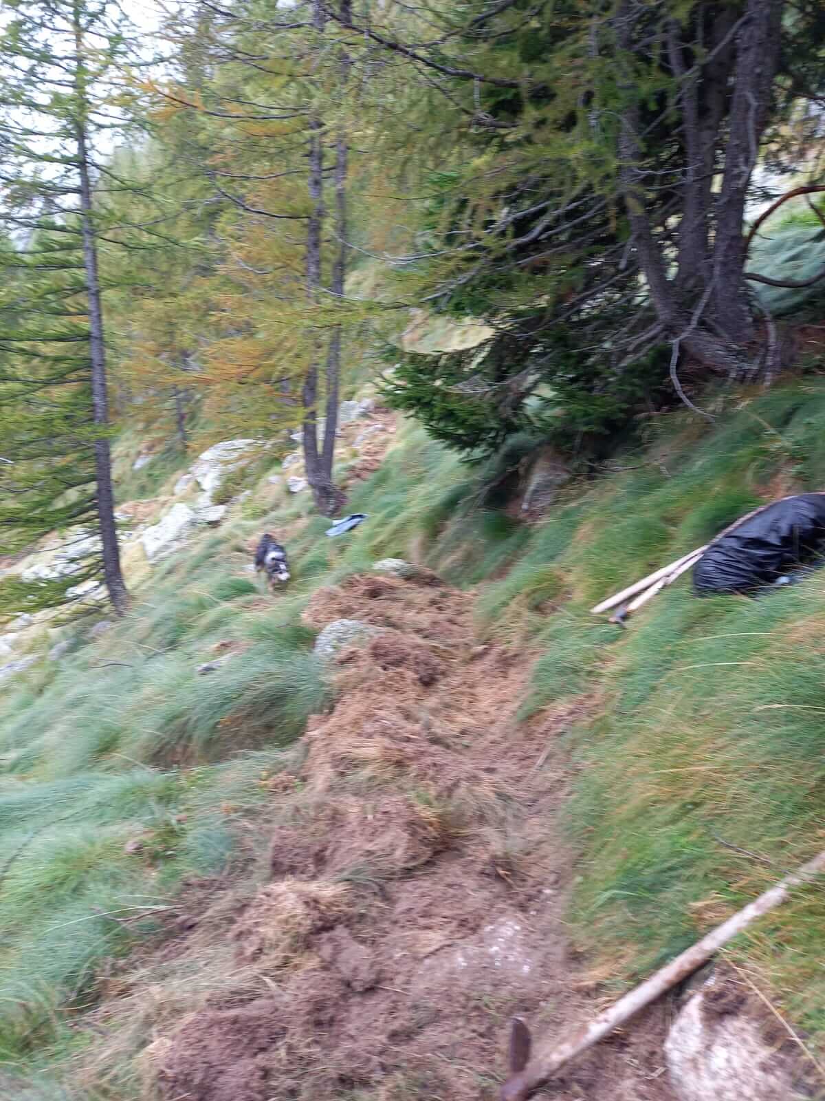 Sistemato In Sentiero 3 Alto Della Valle Olocchia