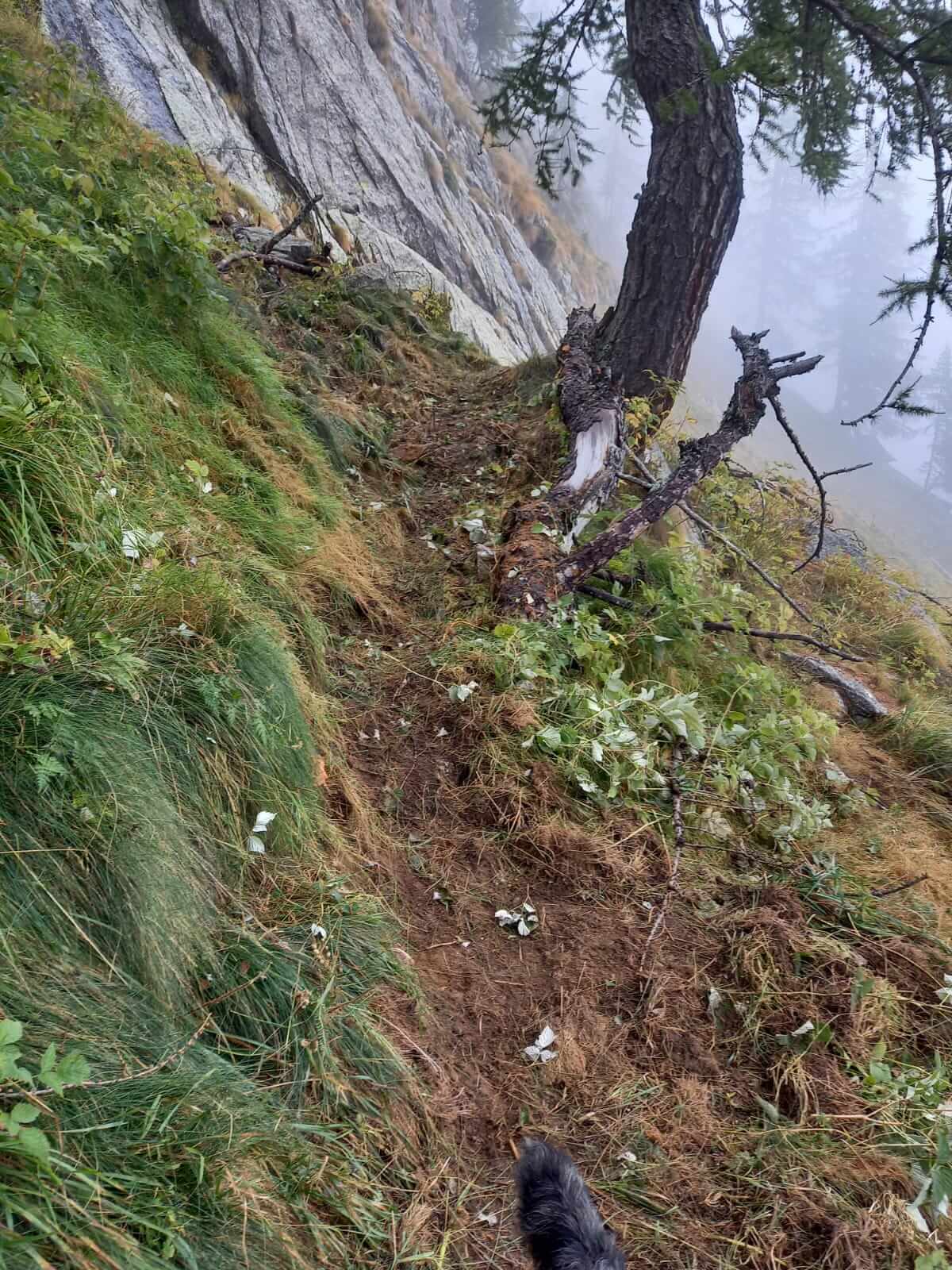 Sistemato In Sentiero 3 Alto Della Valle Olocchia