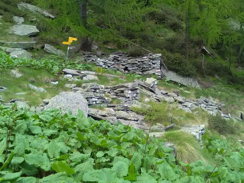 TrediCroppo