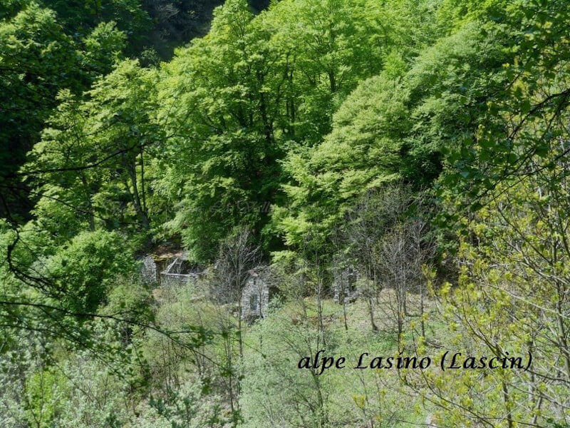 Val Bianca Alpeggi