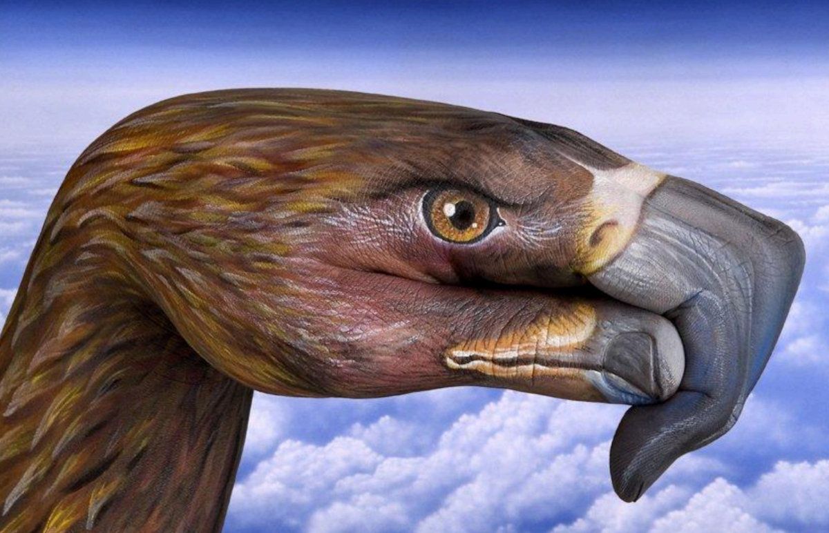 Manimali - La natura nella mani dell'uomo