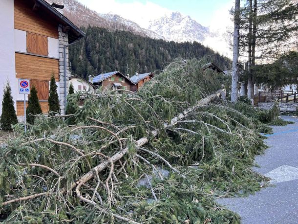 Tempesta di vento in Valle Anzasca