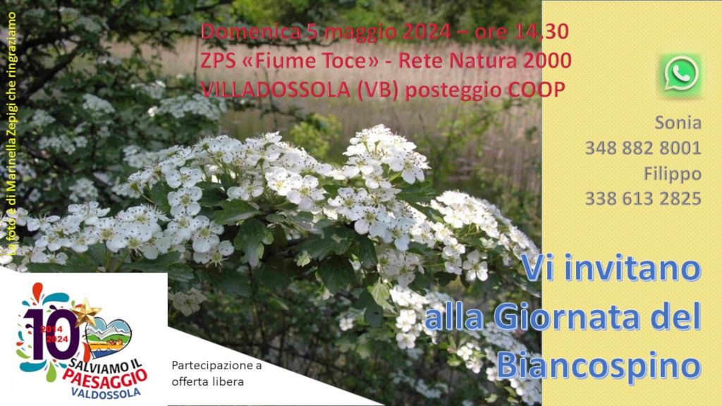 Giornata del Biancospino 2024