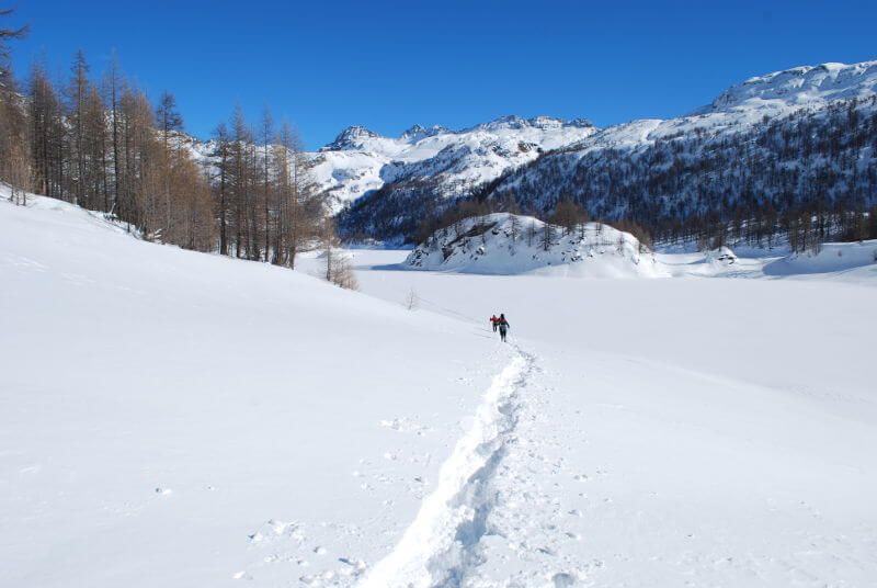 Agli amici dei parchi naturali dell’Ossola