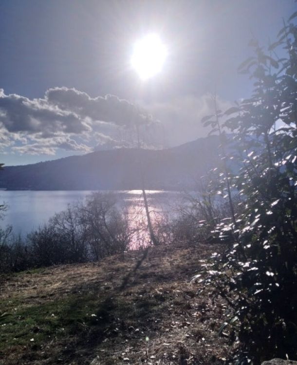 Quando il bosco ti parla