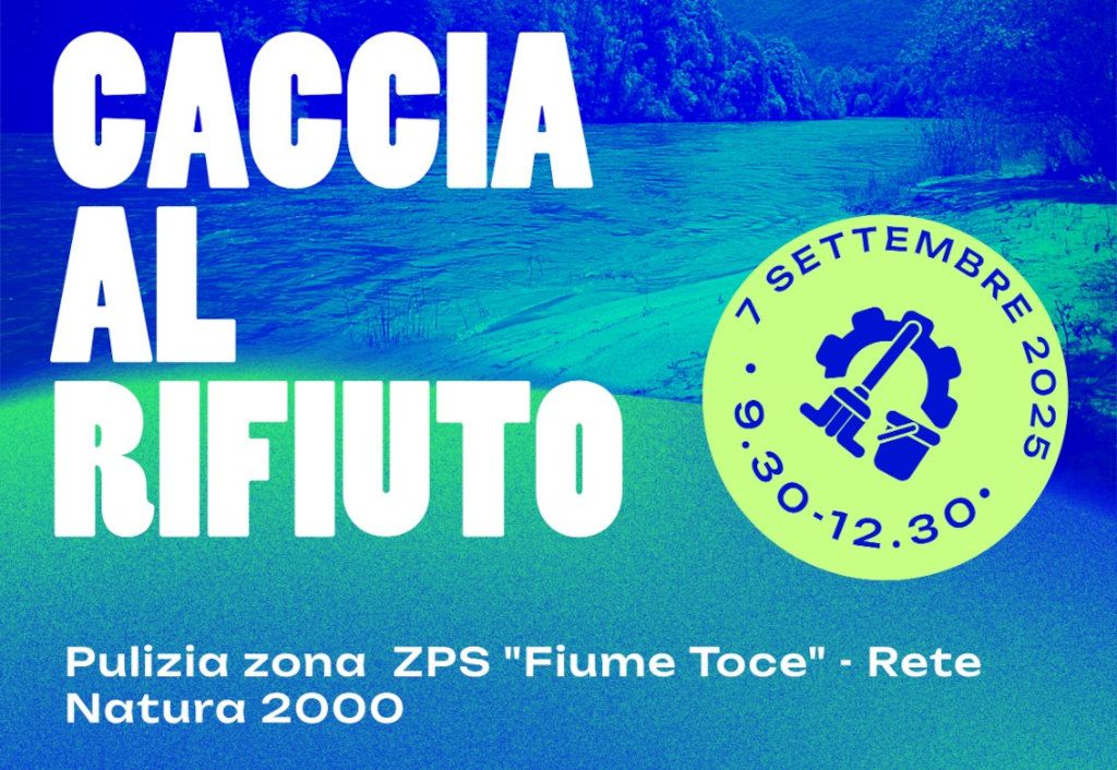 Caccia al rifiuto