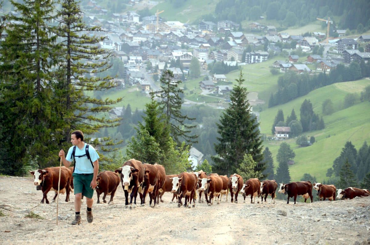 L’orgoglio di lavorare in montagna